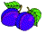 Plumsite