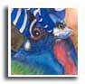 Gioia Hansbury Art